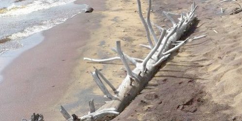 c94f2c_7f8ac0931e974b67b3a8ea2b52aabd0f~mv2