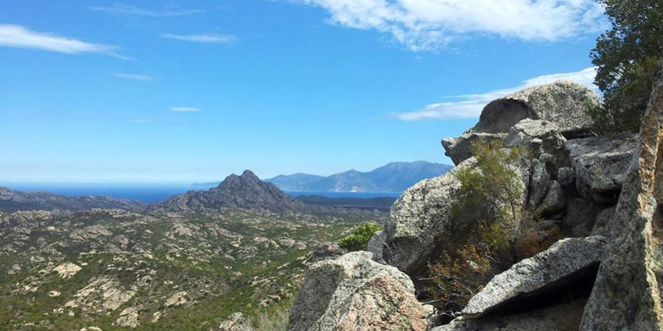 10590626_822442094474102_1255482164134065107_n