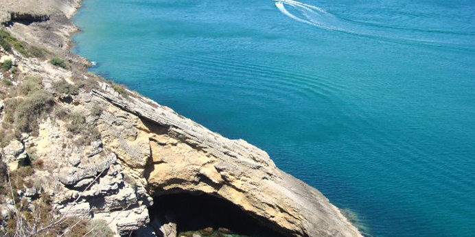 304231_229344423783875_7238318_n