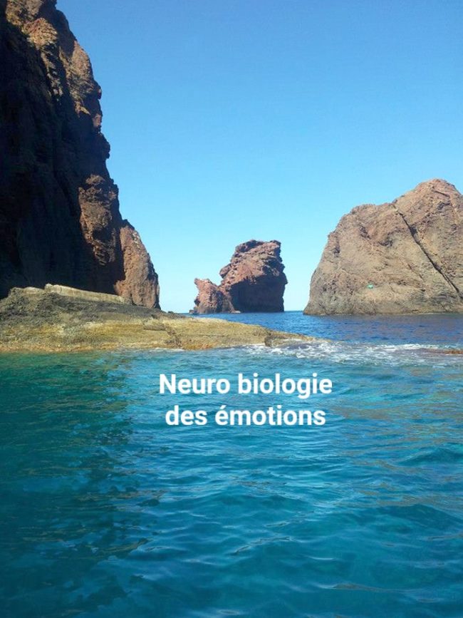 10704129_815251301859848_6677780694461611071_n BIS