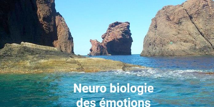 10704129_815251301859848_6677780694461611071_n BIS