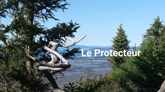 11225441_1018379494880360_8126075144799106837_n