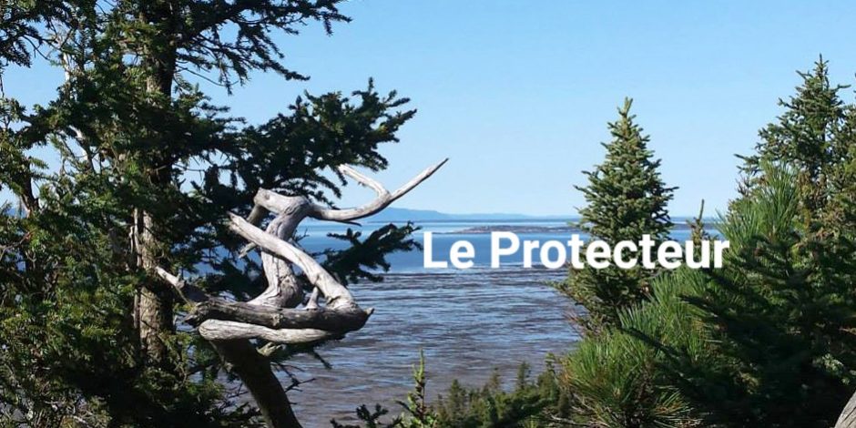 11225441_1018379494880360_8126075144799106837_n