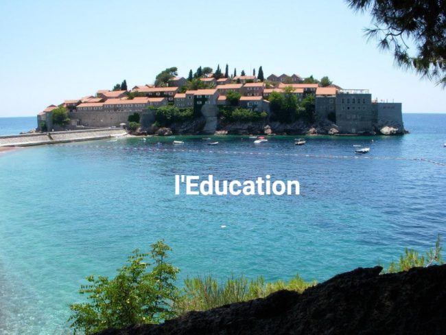 156507_583454035039577_348967250_n bis