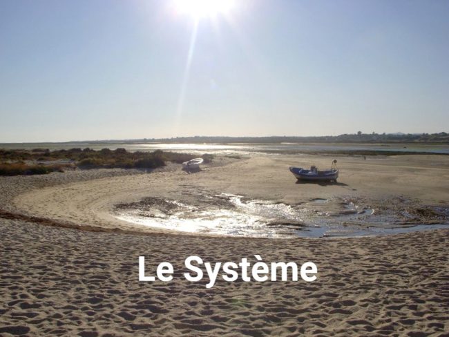 309771_229347763783541_794798_n bis