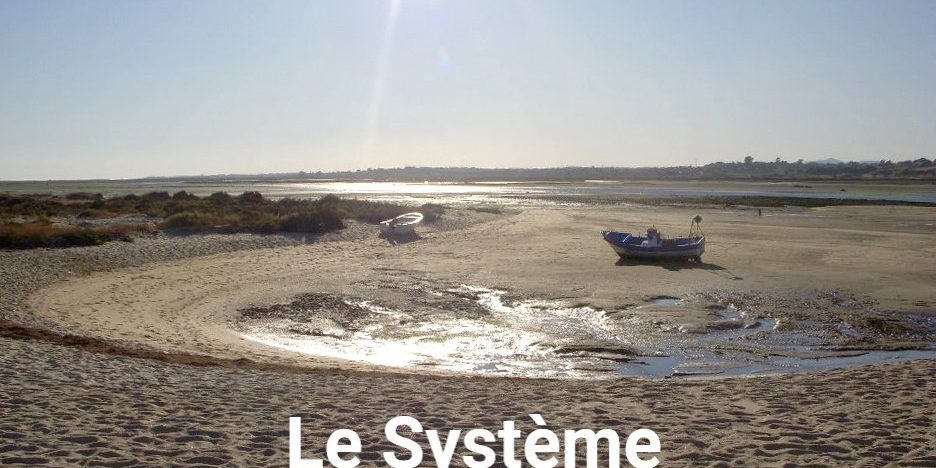 309771_229347763783541_794798_n bis