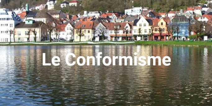 581756_557983177586663_854475769_n bis