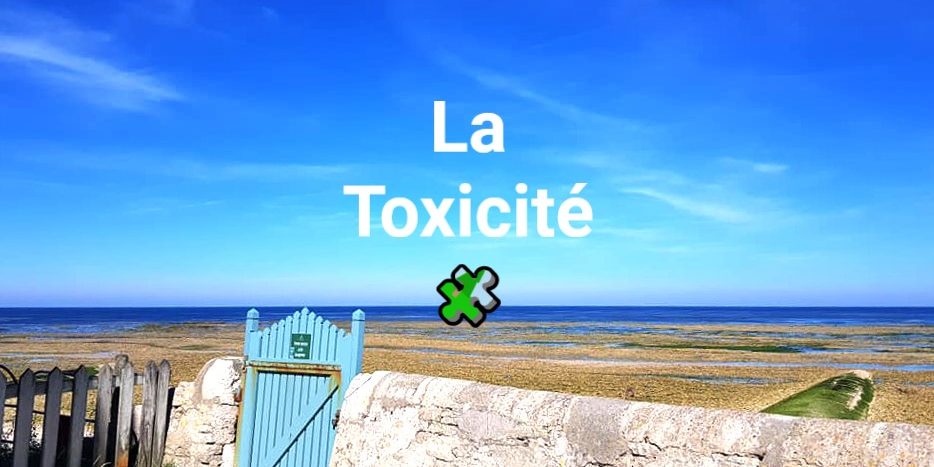 36372400_1953553478029619_3360940912757702656_n BIS