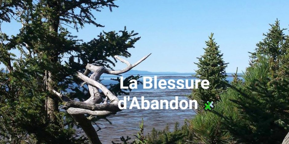 11225441_1018379494880360_8126075144799106837_n BIS