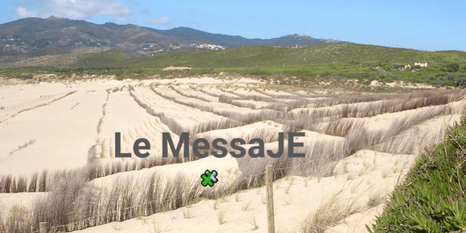 313230_229365310448453_7548528_n.jpg BIS