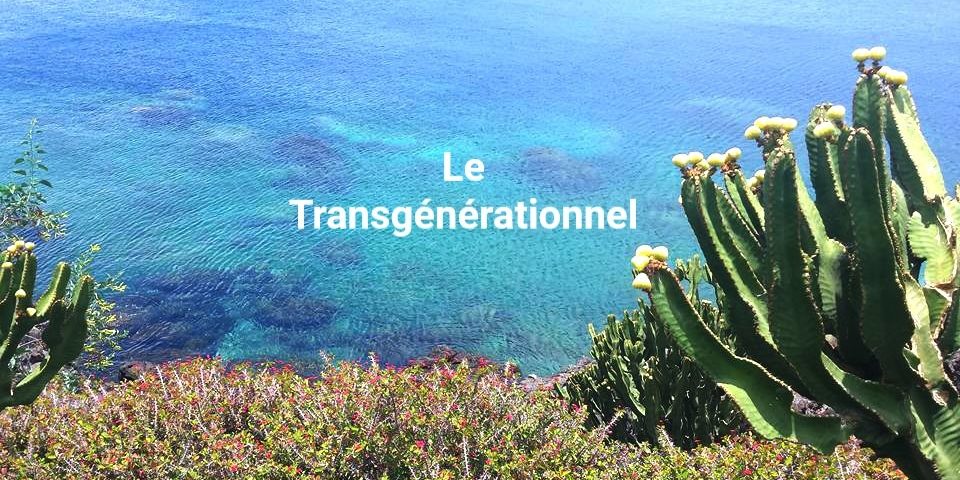 13567323_1202378693147105_6210484599322871903_n BIS