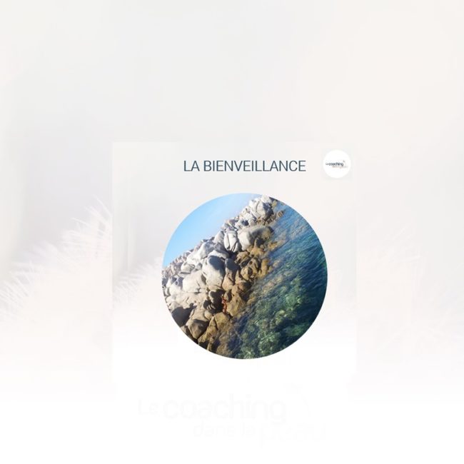 Jeudi 19 01 23 @LCDLP